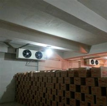 建一個(gè)水果保鮮庫需要多少錢呢?