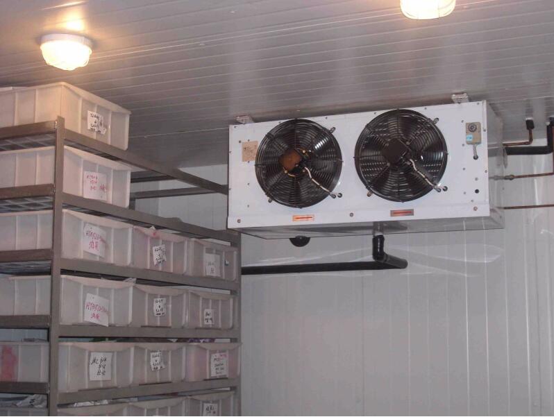 蔬菜保鮮庫：冷庫保鮮有哪些注意事項？冷庫設備應如何維護？