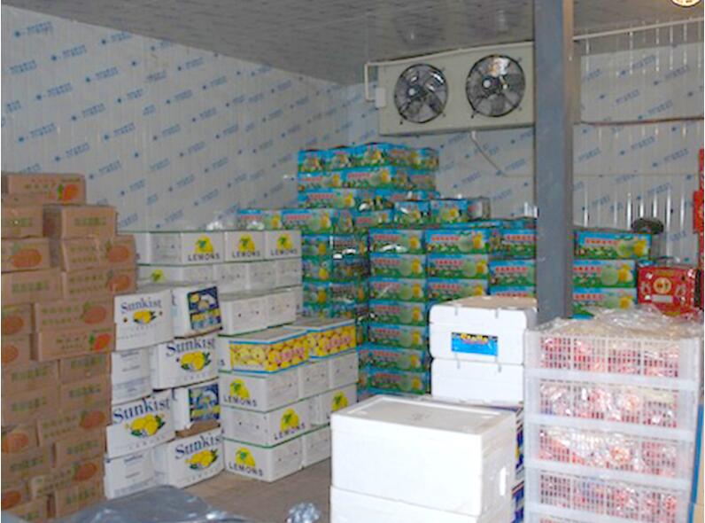 儲存新鮮肉的冷庫安裝情況