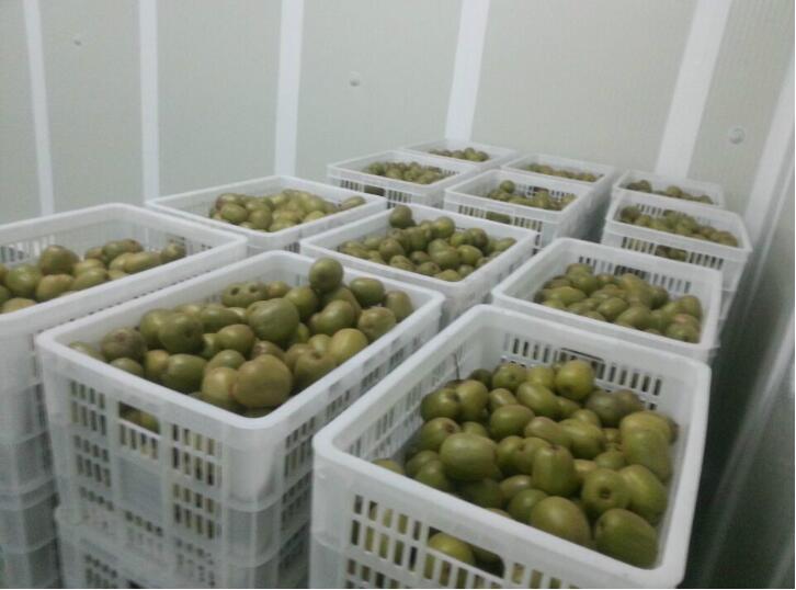 水果保鮮庫(kù)冷庫(kù)的常用配件講解