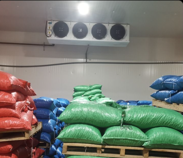 板栗存放在冷藏庫的知識(shí)簡介