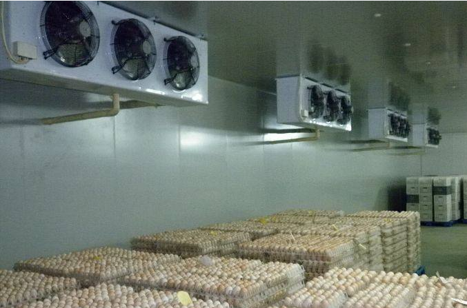 華雪制冷雞蛋保鮮庫(kù)介紹