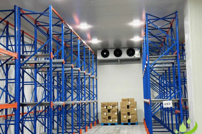 冷庫(kù)建造選華雪：從規(guī)劃到落地的全流程指南