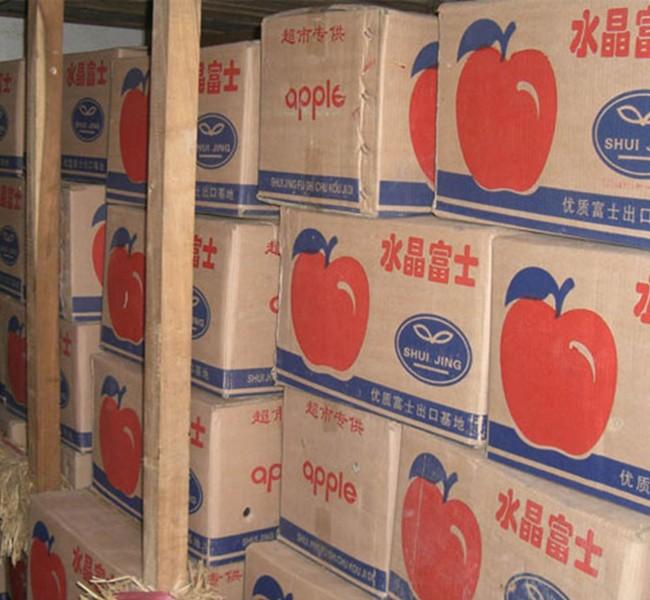 蘋果冷庫