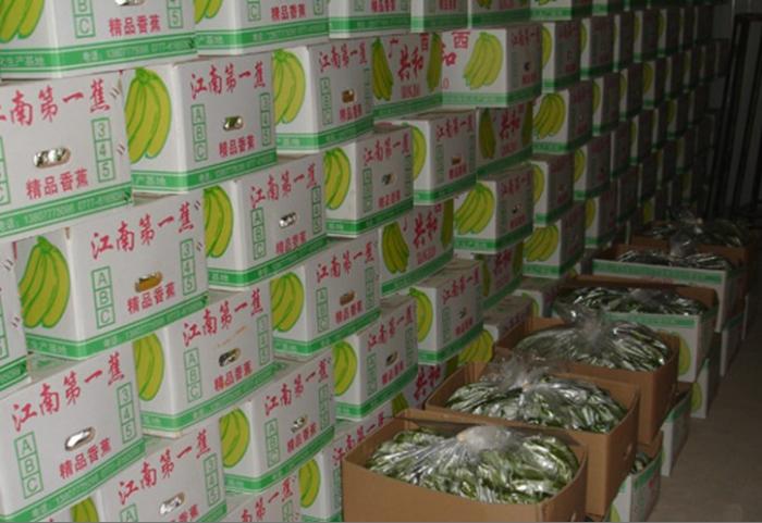 香蕉冷庫 