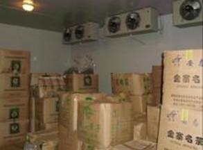 茶葉保鮮庫 